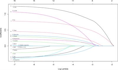 LASSO-based machine learning models for the prediction of central lymph node metastasis in clinically negative patients with papillary thyroid carcinoma